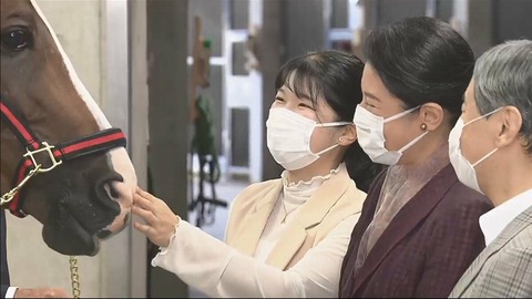 img_21101fcb6e9a439ad83ddb5974f3ed78169364