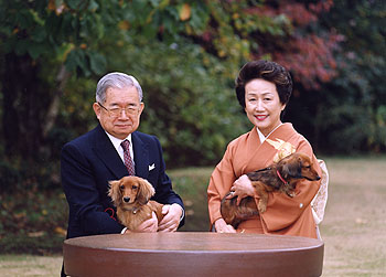 hitachi-kaiken-h17-02