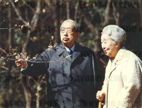 imagelink_1986030400007