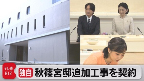 20230915_tn_ns11_39ee6614fac1a808_9