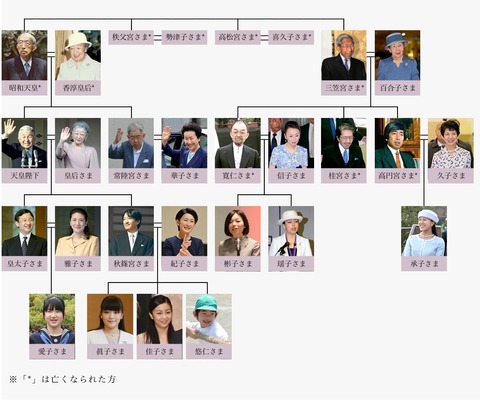 o1510125814401591032