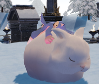mabinogi_2019_12_09_001