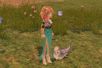 mabinogi_2022_10_14_141645