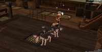 mabinogi_2022_11_30_205335