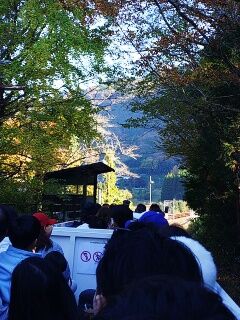 KYG03_20251122_151100147