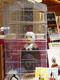 KYG03_20250906_114907365