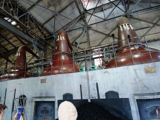KYG03_20260301_132601213