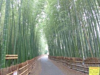 KYG03_20251220_102517540