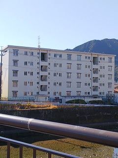SHV39_4314