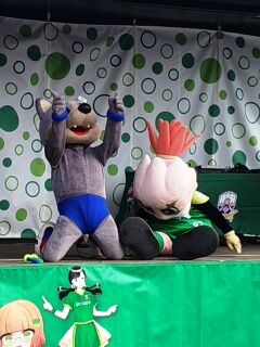 SHG15_260308113955702