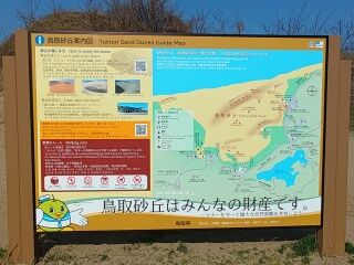 KYG03_20250323_085545206