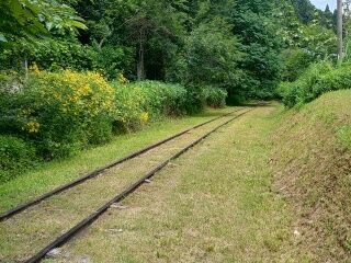 KYG03_20250809_120930508