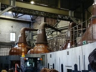 KYG03_20260301_132716437