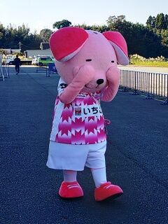 KYG03_20251123_102909647