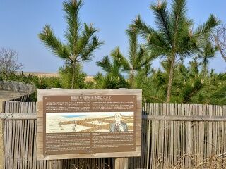 KYG03_20250323_085109182