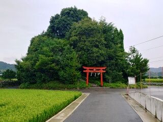 KYG03_20250811_140157798