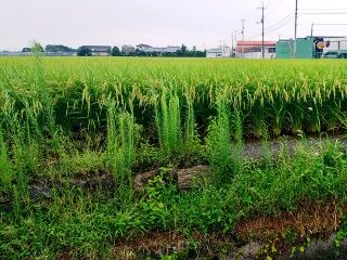 KYG03_20250811_140835847