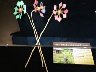 KYG03_20260207_111734287