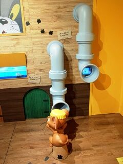 KYG03_20250505_164654800