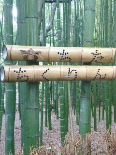 KYG03_20251220_102442240