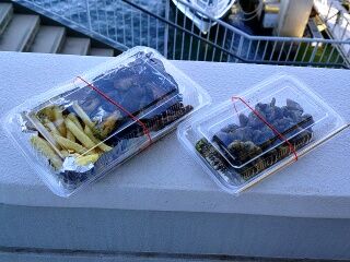 KYG03_20250906_162412709