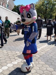 SHG15_260308121133469