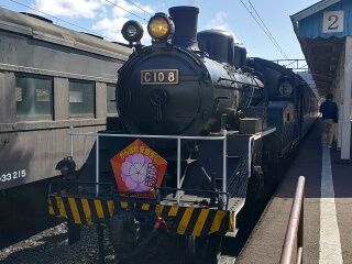 KYG03_20250222_111948400