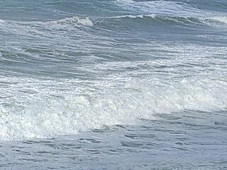 KYG03_20260301_150742526