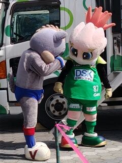 SHG15_260308114502780