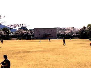 SHG15_260328121653996