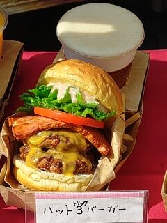 KYG03_20260222_122401763