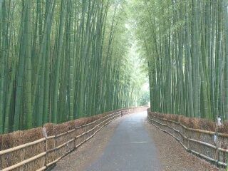 KYG03_20251220_102420528