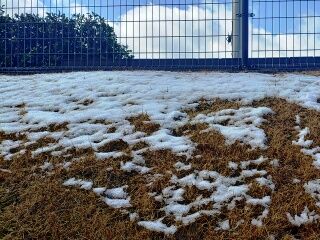 KYG03_20260131_121221999