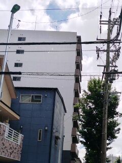 SHG15_260815115826336