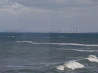 KYG03_20260301_150725474