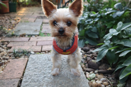 coco1119ms