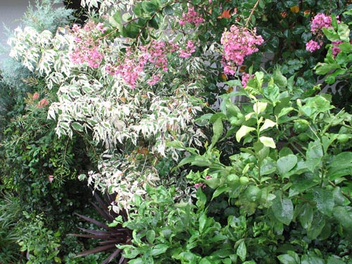 2fgarden825b