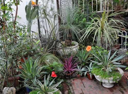 traialgarde1019a (500x366)