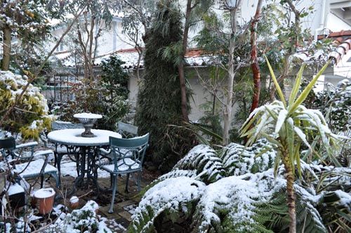 garden124_ms