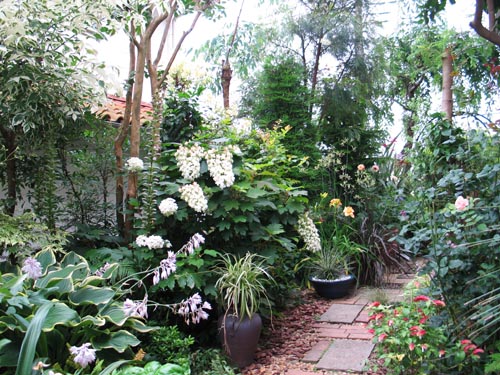 garden628a