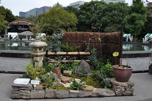 nibiya1030a_ms