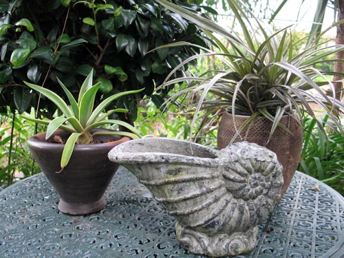 楽しい園芸店巡り Alex S Garden Party