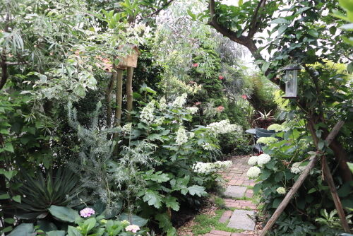 garden602ams