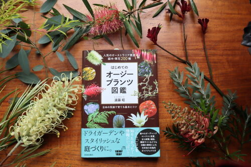 今日で オージー図鑑発売1カ月 Alex S Garden Party