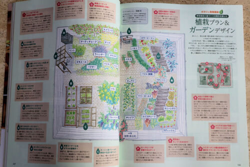 watashino1117ams