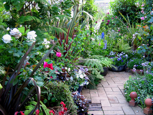 日々進化する寄せ鉢ガーデン : Alex's Garden Party♪