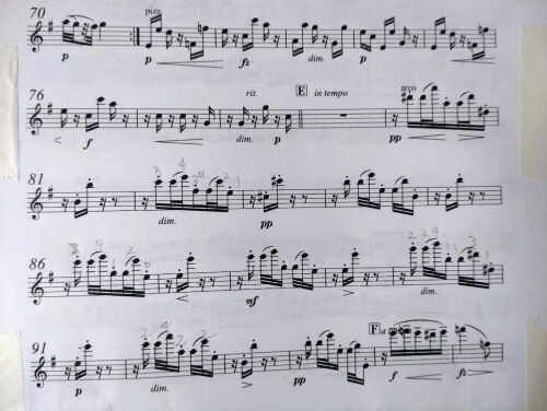 srab409ms