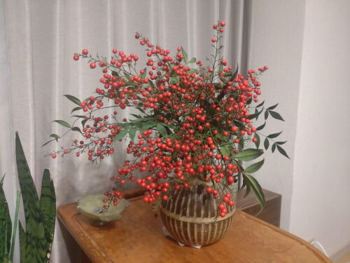 難を転ずる南天 : Alex's Garden Party♪