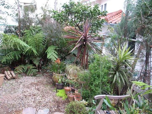 garden404c_ms