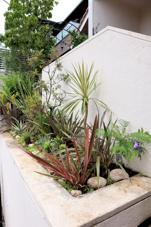 ボックス花壇のリニューアル完成 Alex S Garden Party